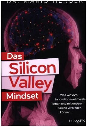 Das Silicon Valley Mindset