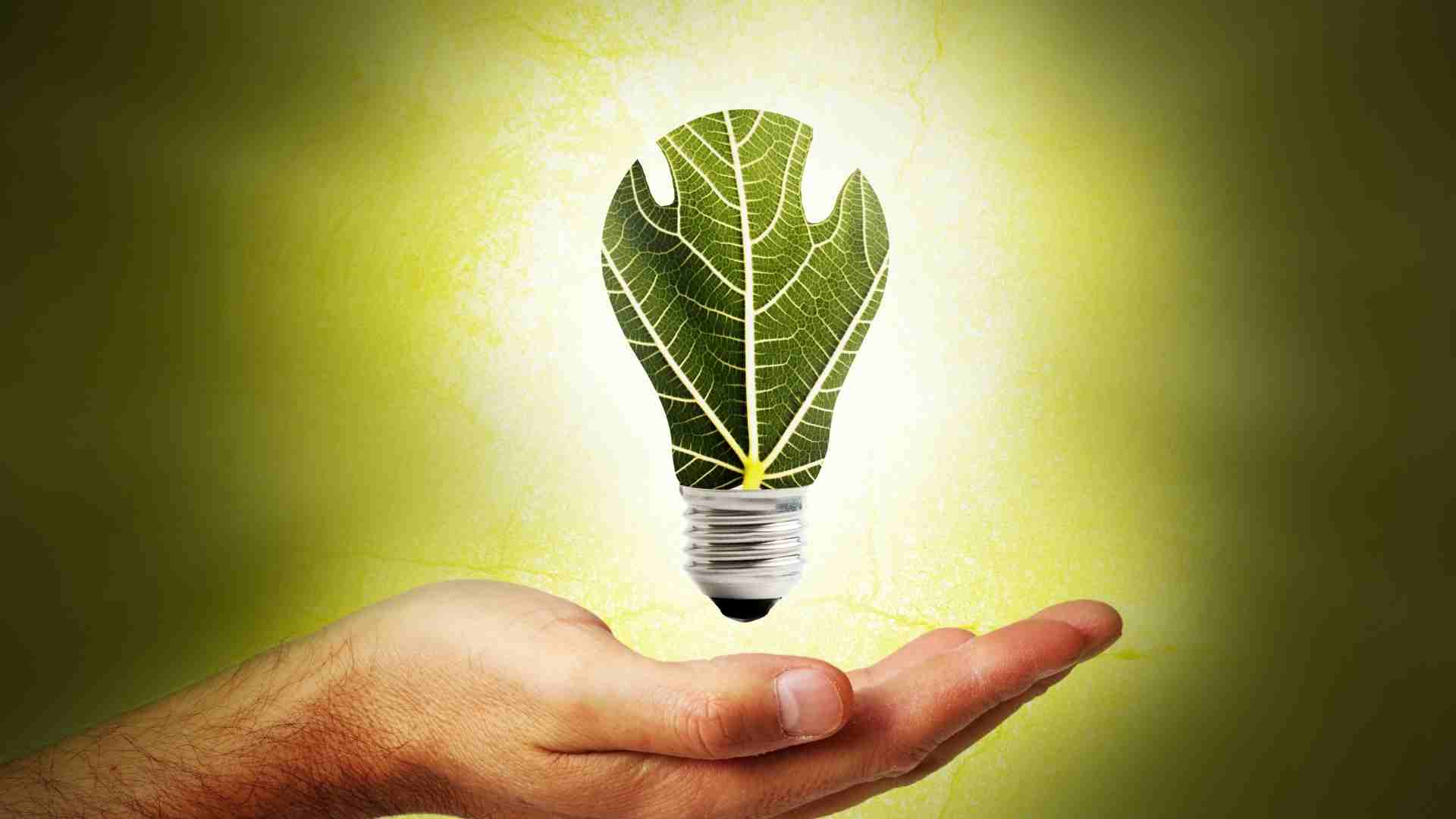 5 Nachhaltige Aktien Die Von Erneuerbaren Energien Profitieren